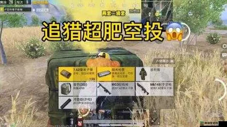 和平精英极限追猎，玻璃破碎技巧大揭秘，助你称霸战场！