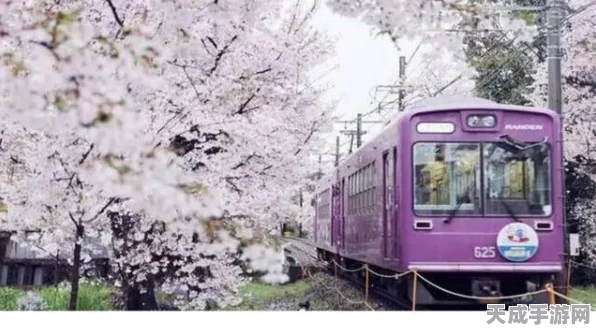 二之国手游深度揭秘，交错世界的奇幻冒险与实战精彩瞬间