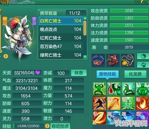 原神赤沙之仗深度解析，属性亮点与抽取价值探讨
