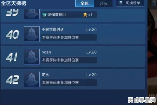 王者荣耀分路榜上榜无标识？揭秘背后原因与最新动态