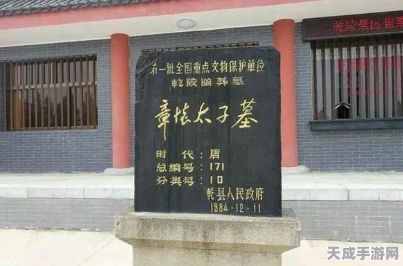 手游新角色揭秘，命运决战武则天图鉴全解析