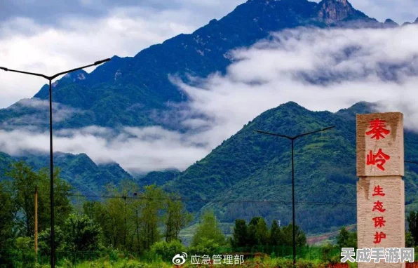 CF手游跨区合区大变革，全新战场版图揭晓，赛事资源全面升级