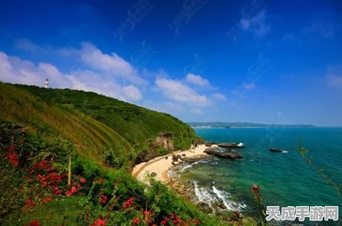 苍雾世界，无敌阵容搭配秘籍大揭秘