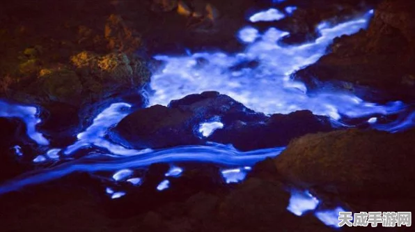 怪物猎人X深度攻略，火山虫采集技巧大揭秘