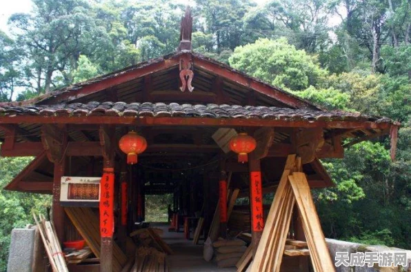 桃源深处有人家，解锁支线任务全攻略，探索隐藏剧情的奥秘