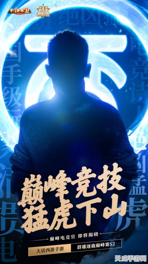 大话西游手游群雄逐鹿，深度解析参赛规则与战术布局