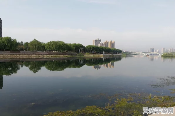 极速都市，符文系统深度解析与实战攻略