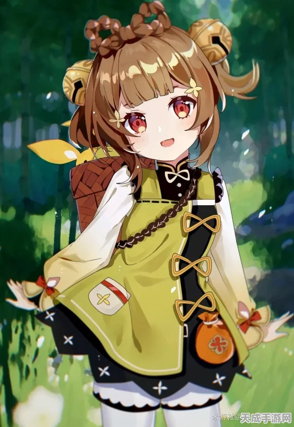 原神鸣神岛，神秘 NPC 对话背后的宝箱密码