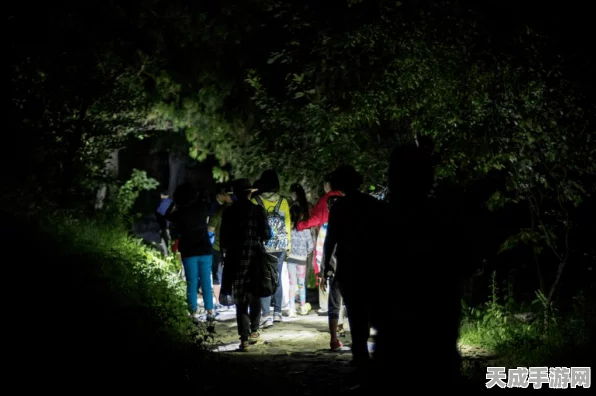 光与夜之恋深度攻略，解锁絮絮森语的浪漫秘境，探寻未知情缘
