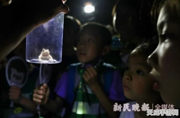 光与夜之恋深度攻略，解锁絮絮森语的浪漫秘境，探寻未知情缘