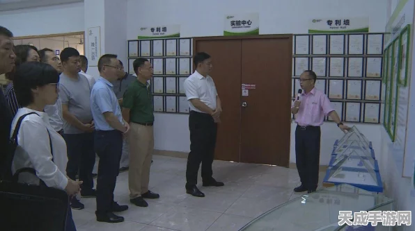 口袋妖怪究极绿宝石，御三家选择攻略，助你开局制胜！