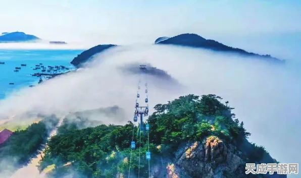 苍雾世界核心养成秘籍，全方位指南