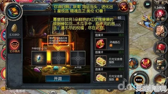 探秘魔域口袋版，个人烹饪秘籍与畅玩指南