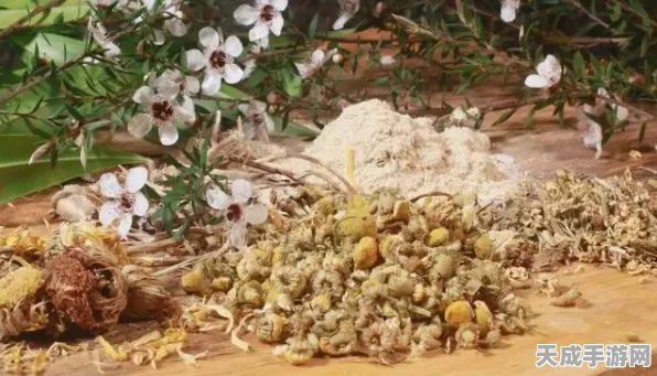 外域草药种植秘籍，轻松斩获稀有草药的独家窍门