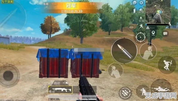 和平精英，空投数量之谜与获胜攻略