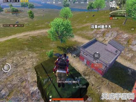 和平精英，空投数量之谜与获胜攻略