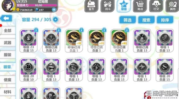 崩坏学园2天梯争霸，深度攻略与资源管理秘籍大公开