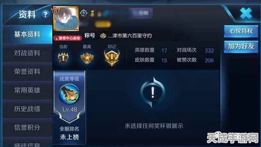 王者荣耀玩家必看，24小时投诉热线全解析，畅享无忧游戏体验