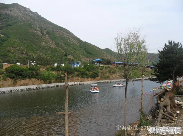 仙境传说手游职业争霸，深度剖析五大职业竞技场表现