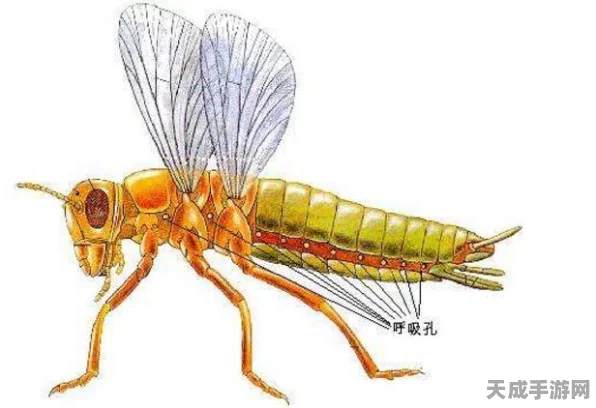 探秘，如何在世界中成功召唤远古巨兽