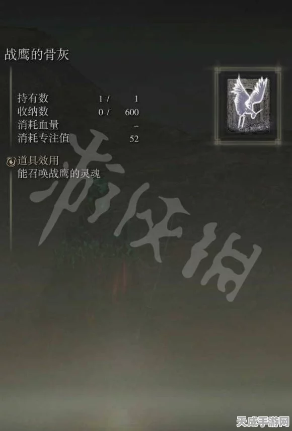 艾尔登法环深度攻略，智信流顶尖装备搭配与实战技巧揭秘