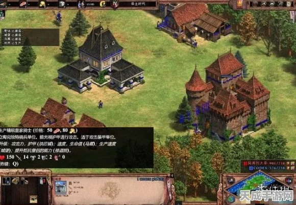 帝国时代2决定版，揭秘可升级圣殿骑士的文明及其独特策略
