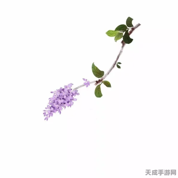 天涯明月刀手游，解锁夜雨迟奇遇的终极秘籍