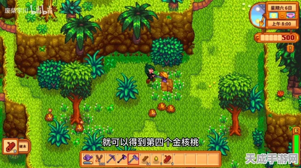 星露谷物语姜岛东部金核桃获取秘籍大公开