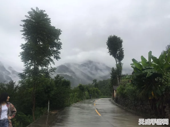 烟雨江湖绝密攻略，华阳真人挑战全解析，助你轻松登顶！