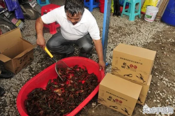 桃源深处美食争霸，桃源深处有人家赛螃蟹大赛食谱配方全揭秘