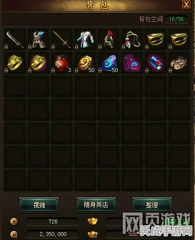 我的勇者背包管理秘籍，轻松清理，优化游戏体验