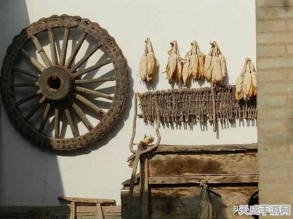 烟雨江湖青城寻敌，深度攻略与实战技巧揭秘，助你轻松通关