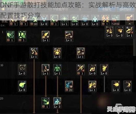 DNF高手进阶，揭秘技能加点策略，打造专属战斗风格