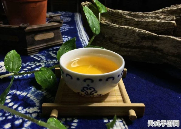 奇迹暖暖倾心回忆活动揭秘，童心爱恋获取攻略与誓言戒指兑换详解