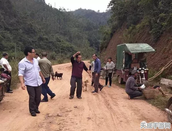 森林之子，掌握绳索枪技巧，征服密林的秘密武器！