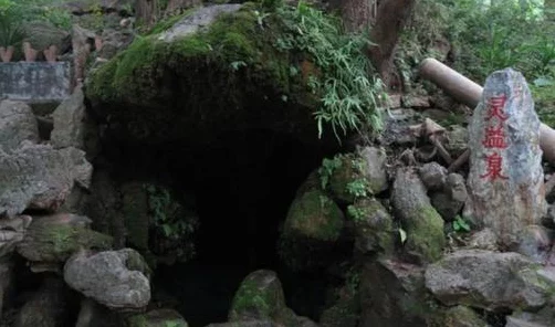阴阳师，揭秘小鹿男皮肤点墨竹童获取攻略与最新赛事动态