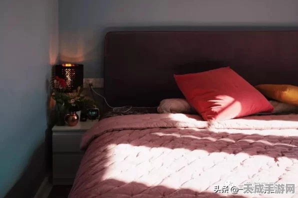 收纳达人，破屋求生的致胜秘籍大揭秘
