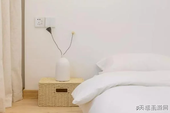 收纳达人，破屋求生的致胜秘籍大揭秘