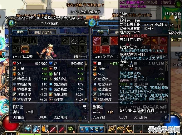 地下城与勇士装备栏的奥秘与精髓