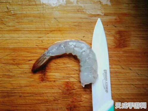 你是不是虾隐形的刀通关秘籍大揭秘
