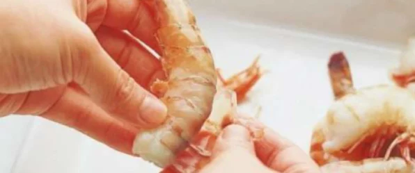你是不是虾隐形的刀通关秘籍大揭秘