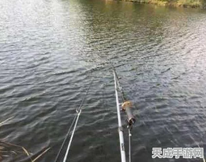 一人之下手游钓鱼大赛全攻略，揭秘热门垂钓点与必胜技巧！