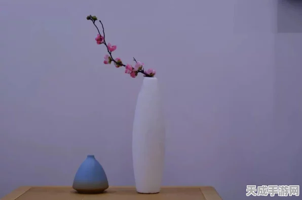 峨眉风云再起，放置江湖峨眉派深度攻略与玩法揭秘
