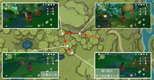 原神玩家必看，高效帕蒂莎兰采集路线全揭秘，助你轻松收集稀有材料！