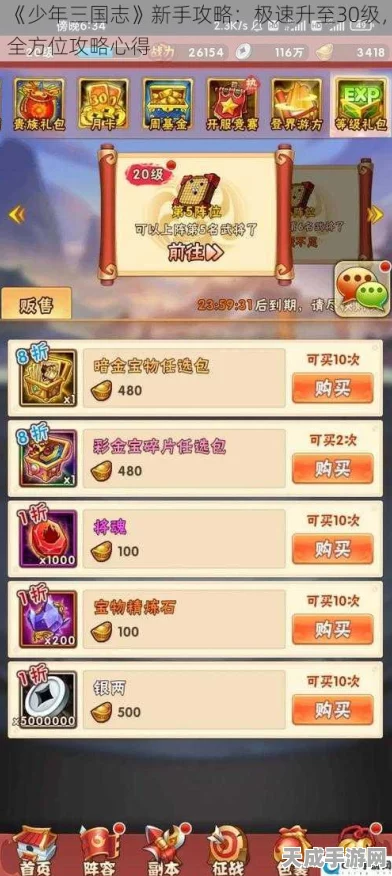 少年三国志，揭秘高效升级秘籍，助你飞速成长！