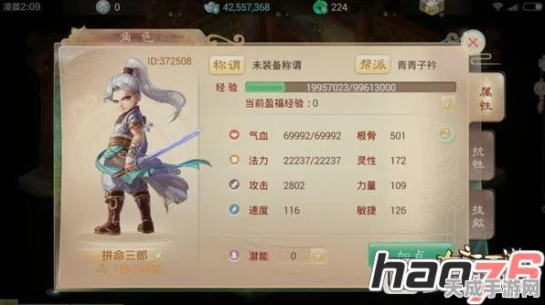 大话西游手游深度解析，武林盟主实力评测与伙伴转生全攻略