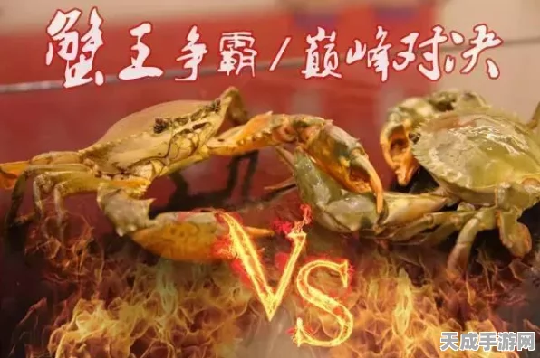 捉妖大战燃爆全场！蟹斗眼VS螃蟹，巅峰对决揭秘，意外排名震撼发布