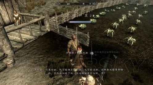 上古卷轴 5 之恢复大师任务全攻略