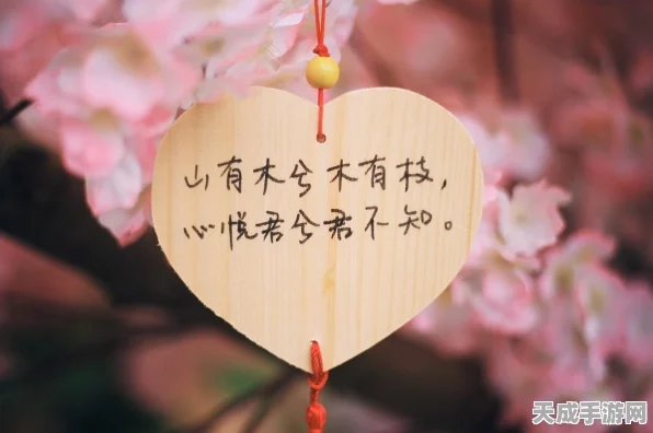 手游神器揭秘，不朽之旅玛格丽特之泪实战评测与装备指南