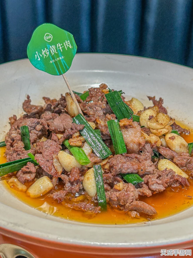 桃源深处新风味，揭秘炒牛柳独家配方大赛盛况